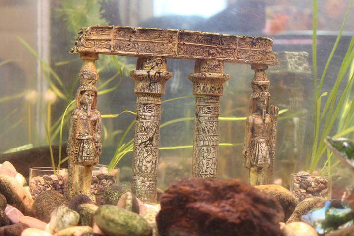 Beautiful antic statue under water