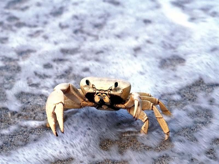 ?