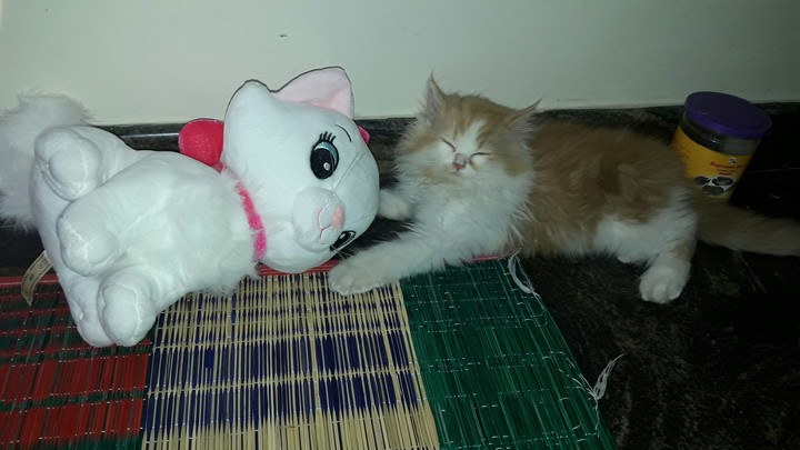 pearl with doll