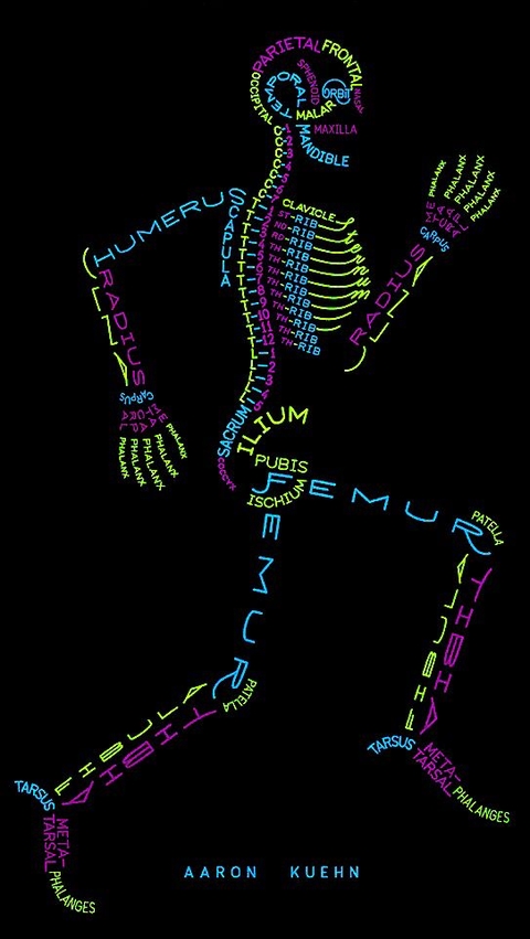 Science, bone háttérképek