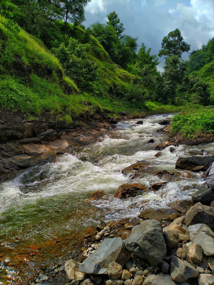 stream