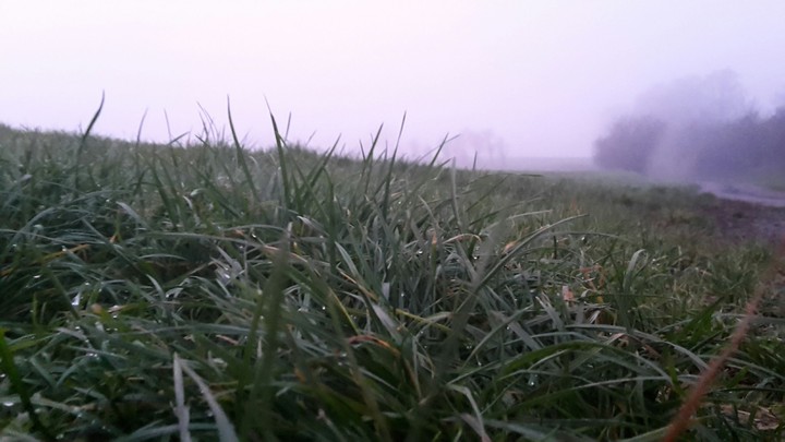 fog