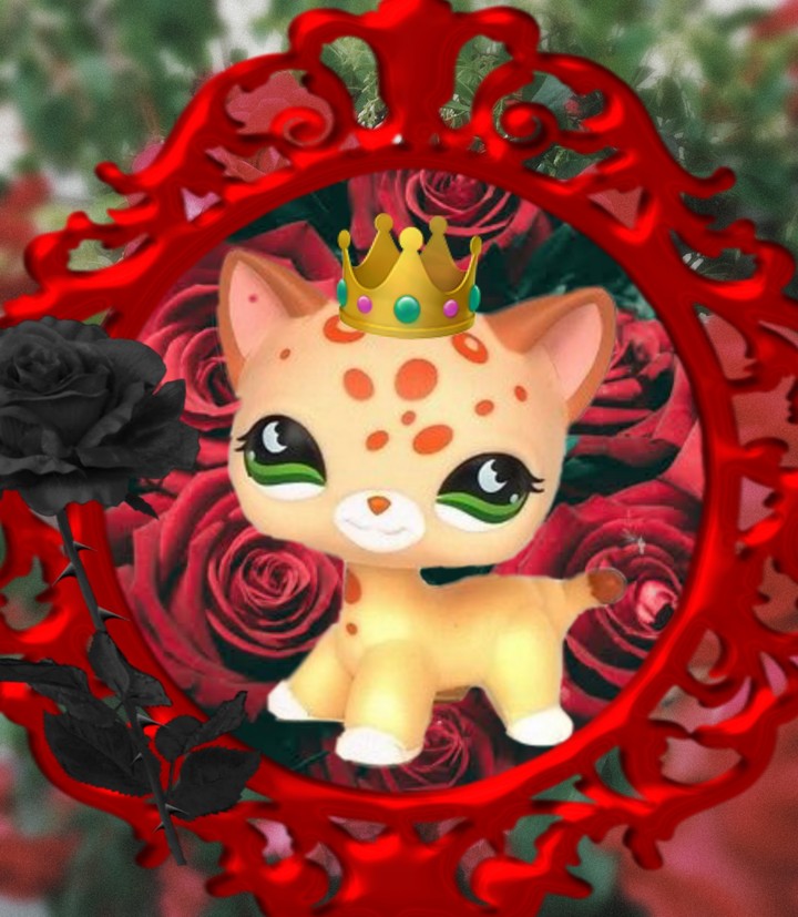 lps