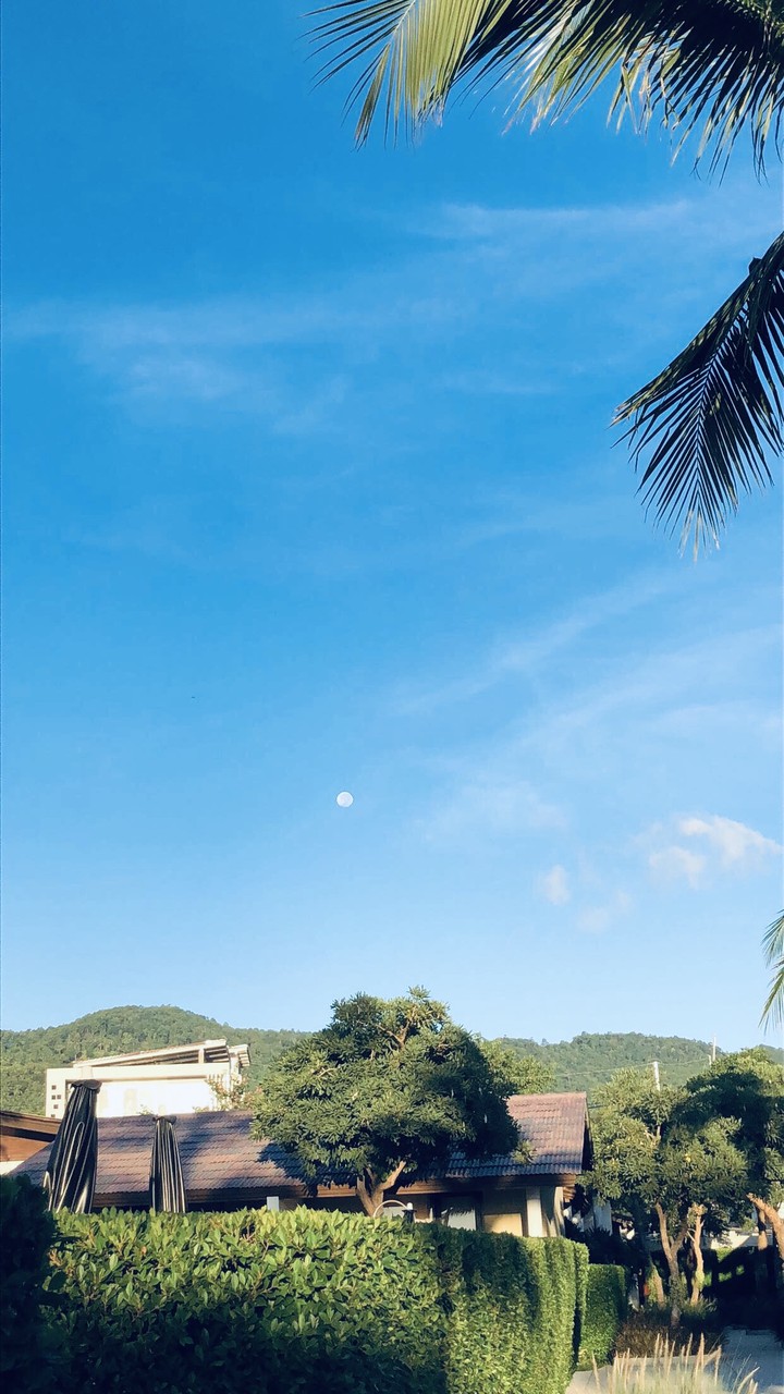 Resort