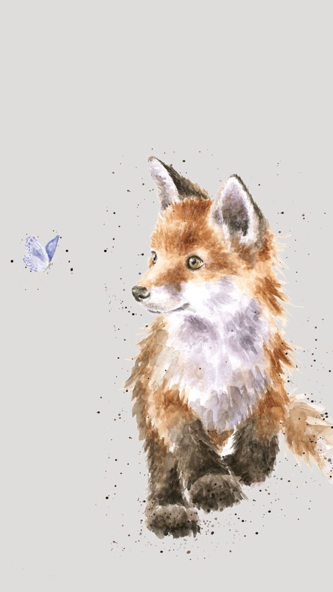 fox, fur háttérképek