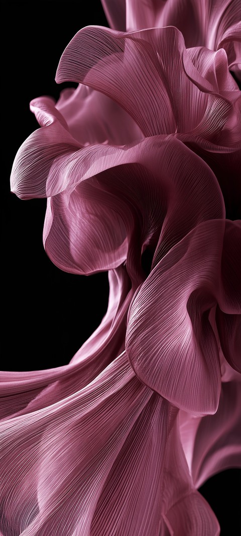 pink, graphics Hintergrundbilder