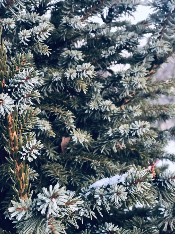 Winter