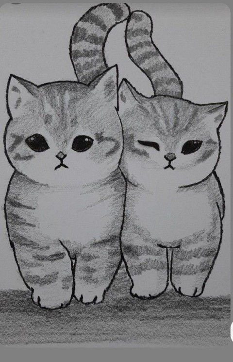 고양이, 척추 동물 배경화면