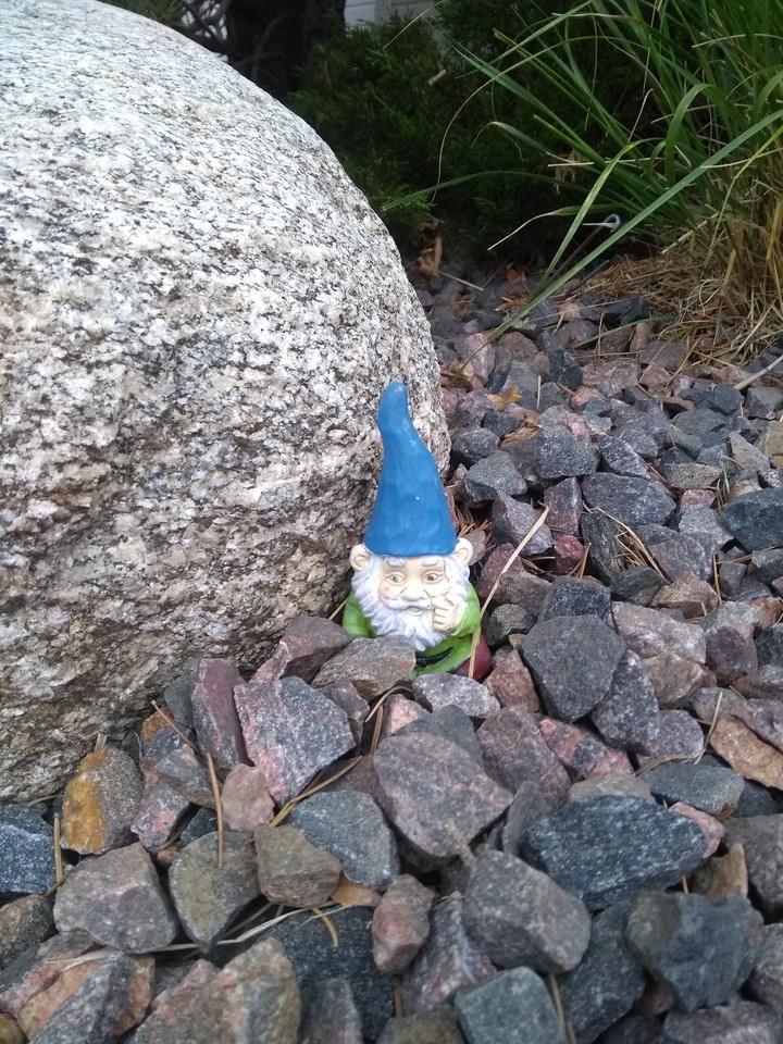Hidden Gnome