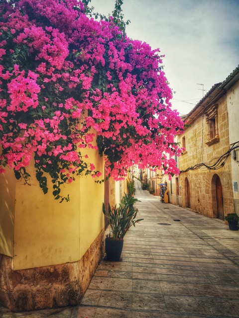 old town