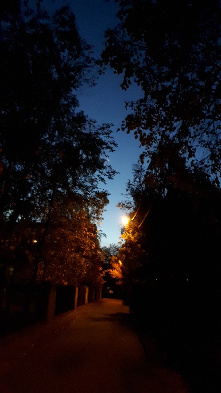 Wonderful night