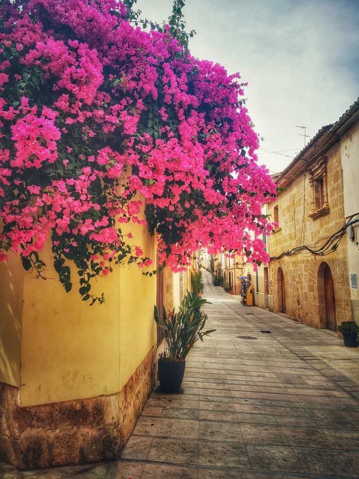 old town