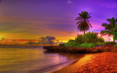 Summer wallpaper