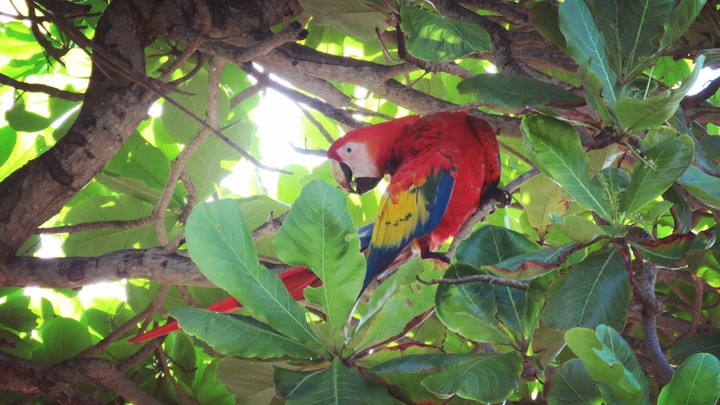 Naturaleza