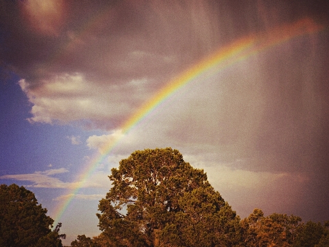 Arcoiris