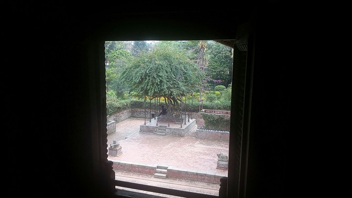 window view