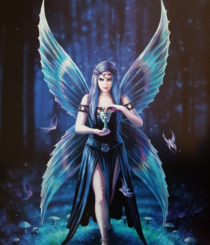 Anne Stokes