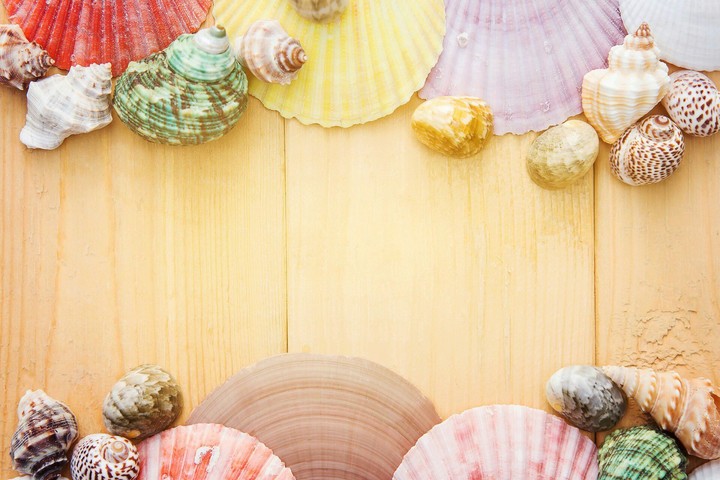 Shells