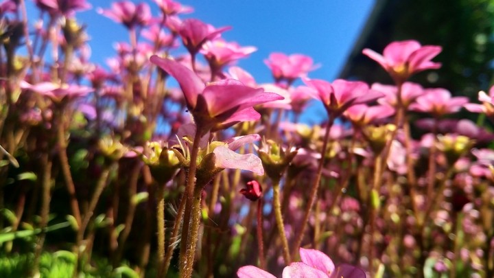 summer