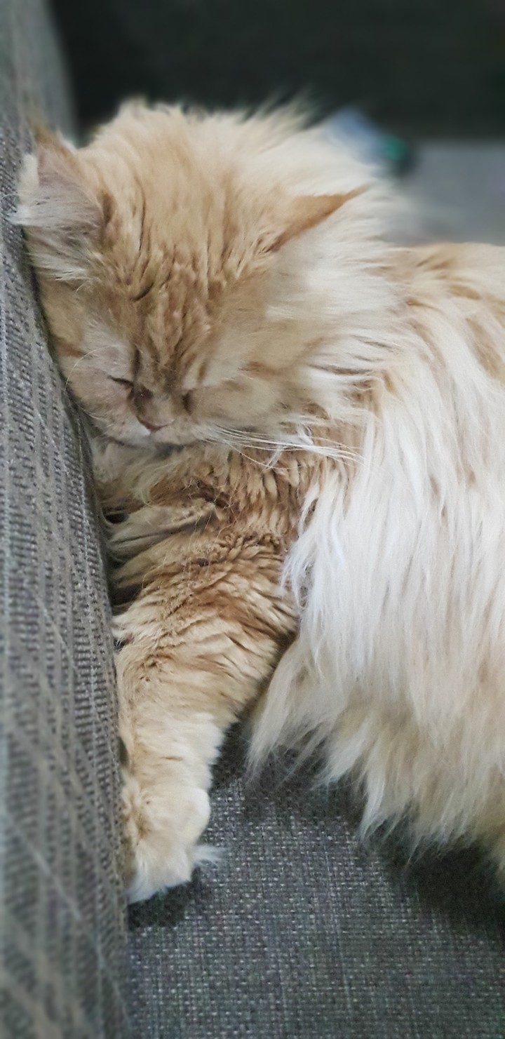 sleep