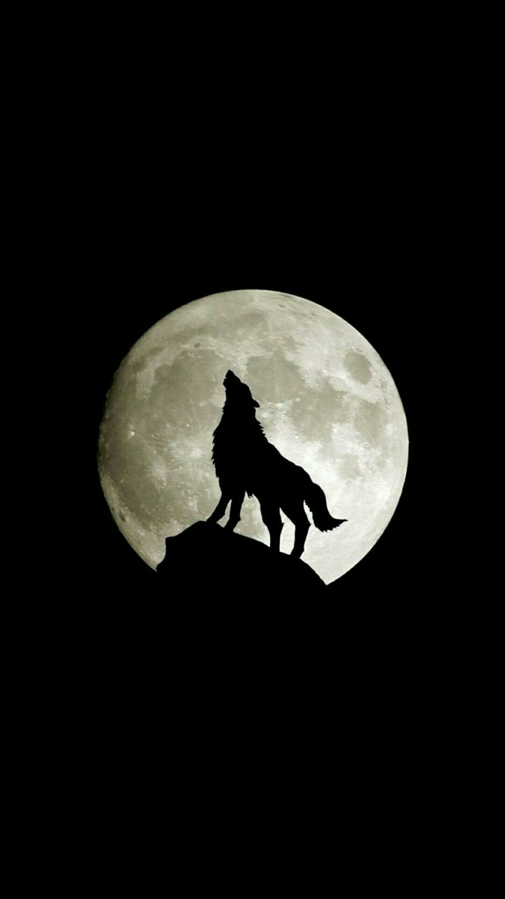 moonlight