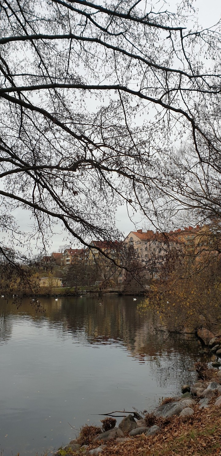 Stockholm