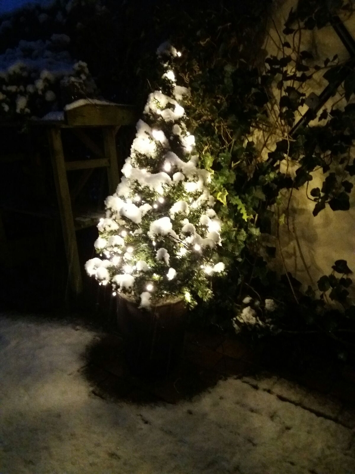 christmas tree snow