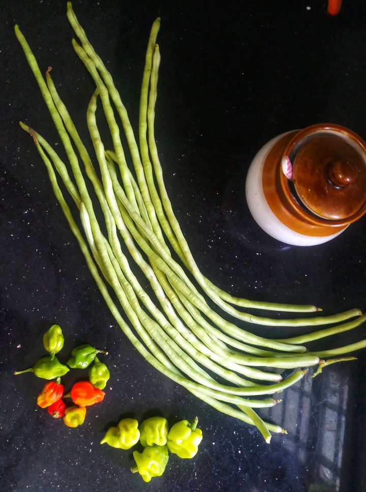 love veggies