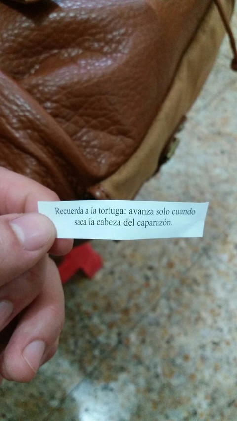 Fortuna