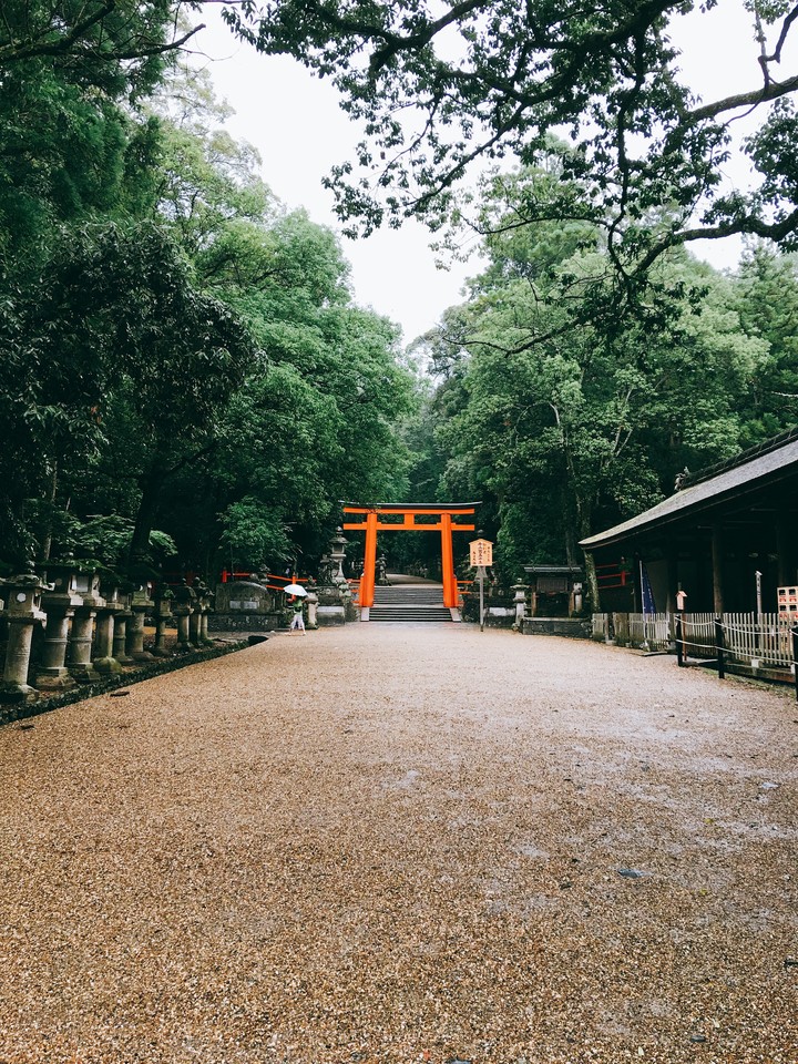 Japan road