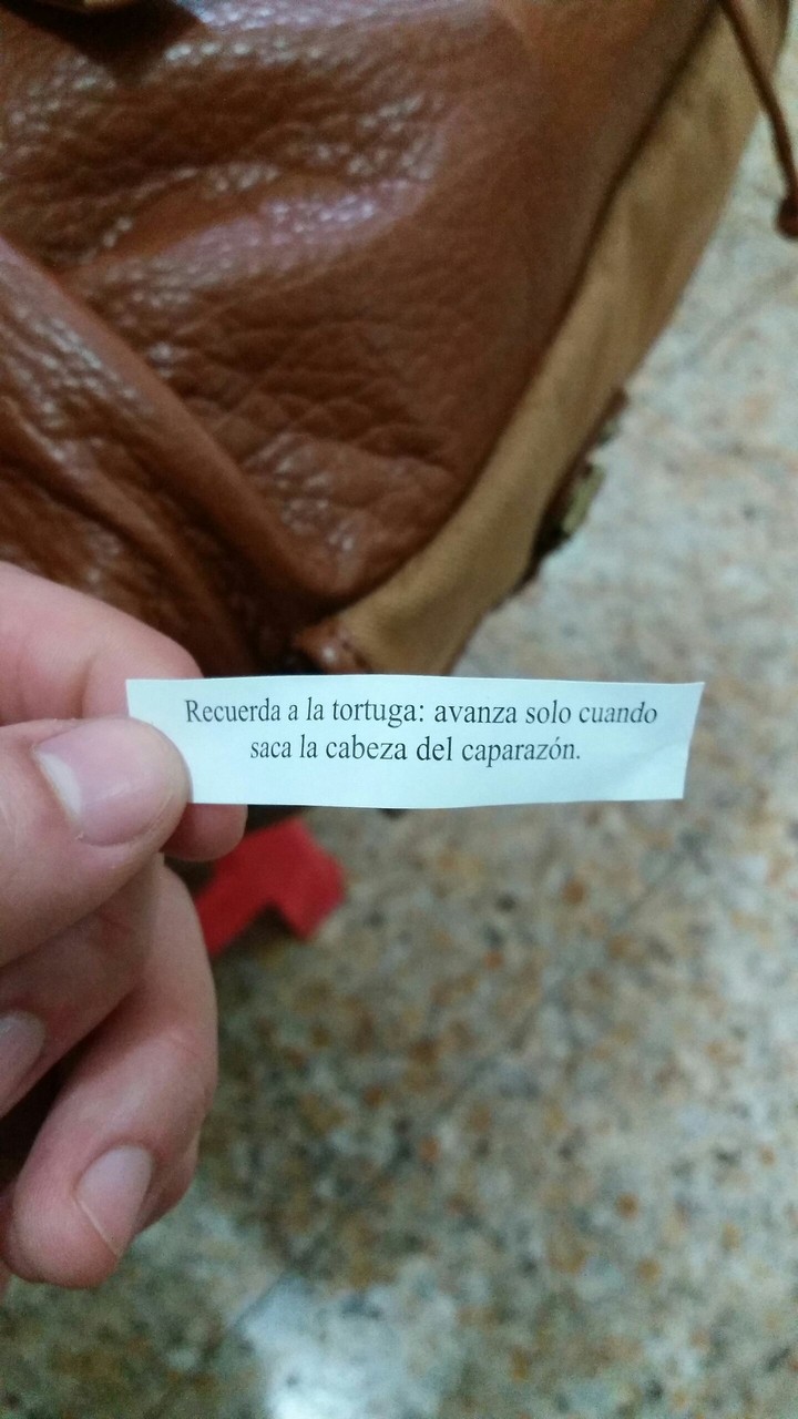 Fortuna