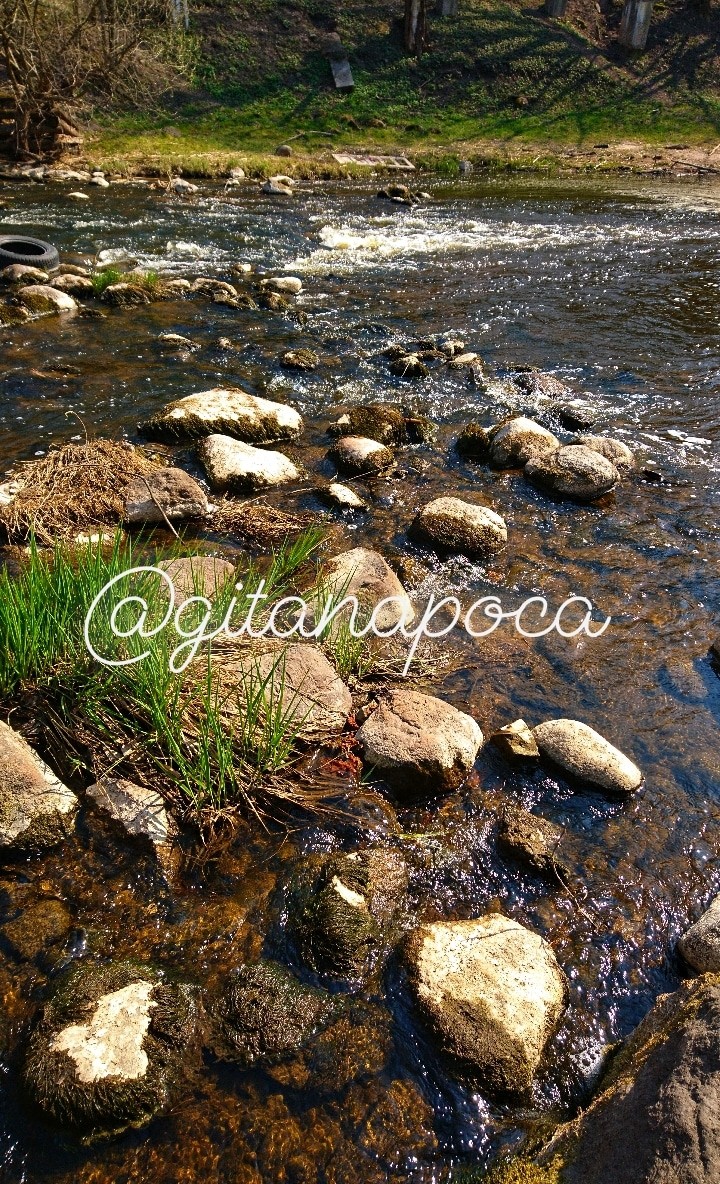 Water
