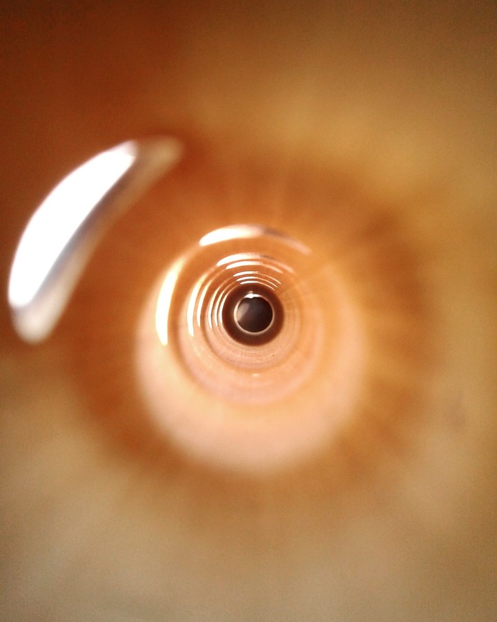 flute from inside