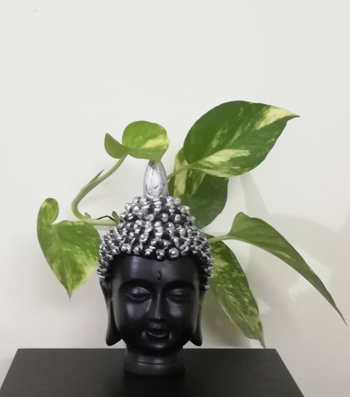 Buddha