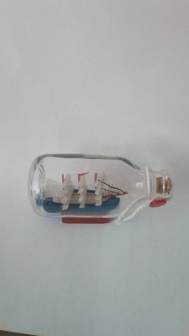 Ship in a bottle