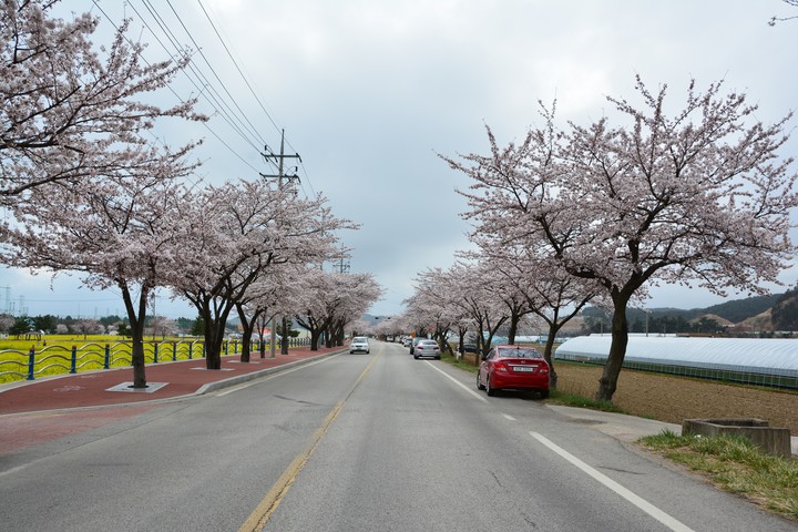 풍경이미지