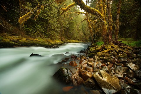 water fall