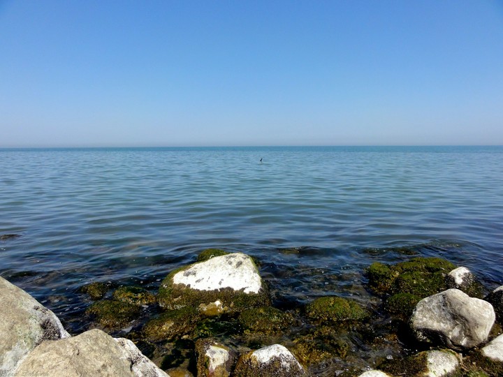 Caspian Sea (2).
