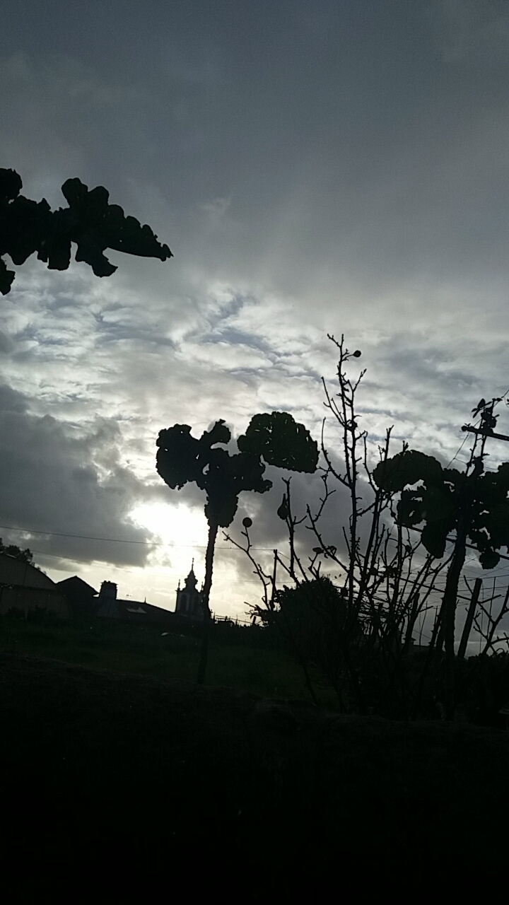 shadows of the sun