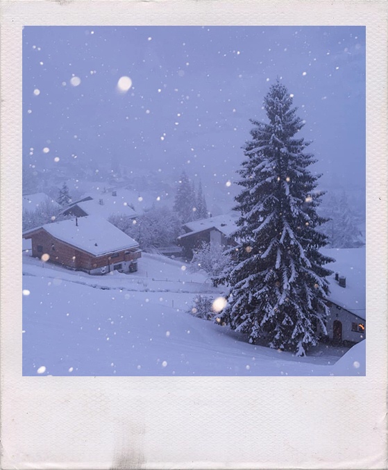 winter