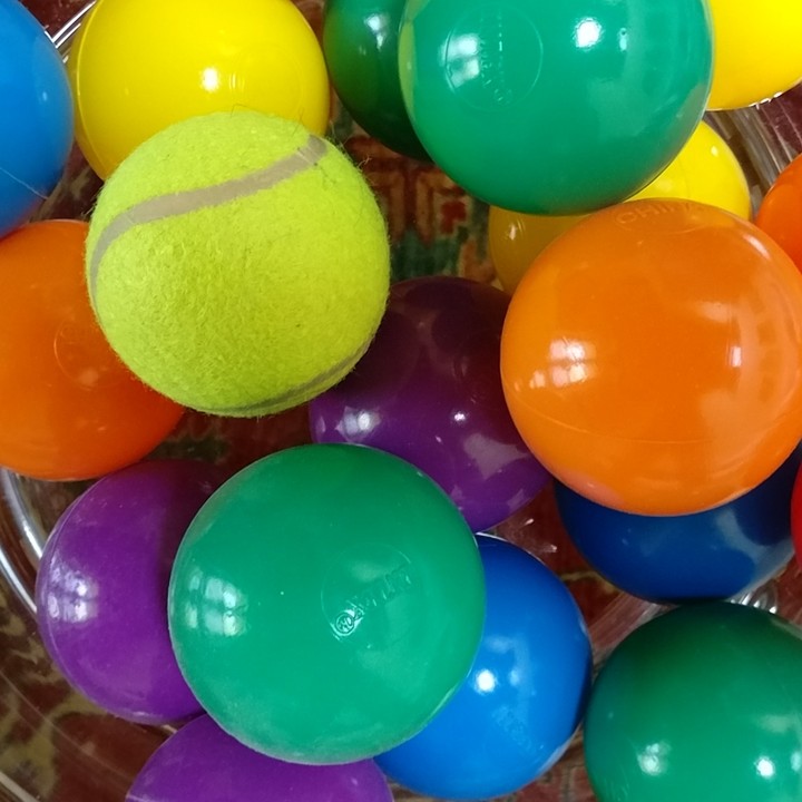 Pallecolorate