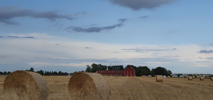 landscape