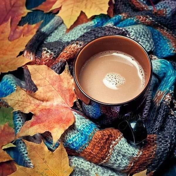???☕☕