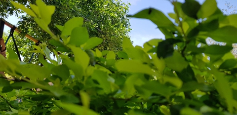 sky