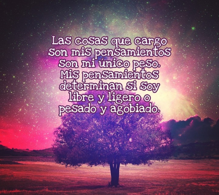 #Tree #Espacio #Árbol #Purple #Brightness #Space