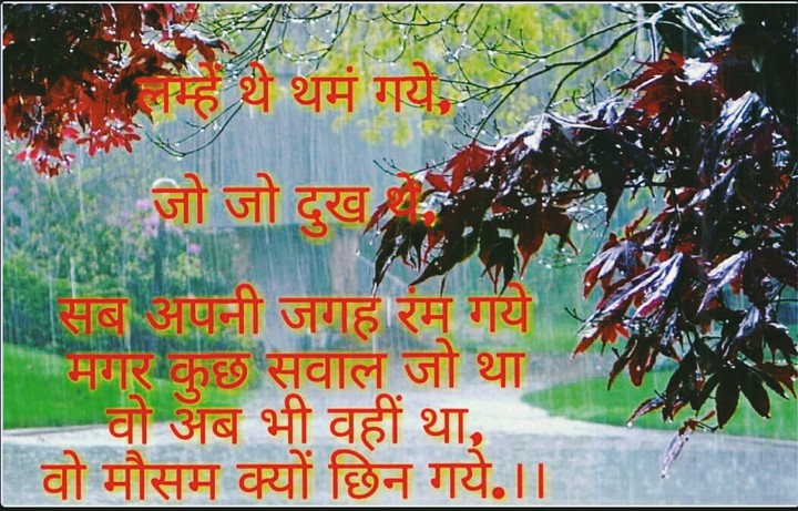 mosam