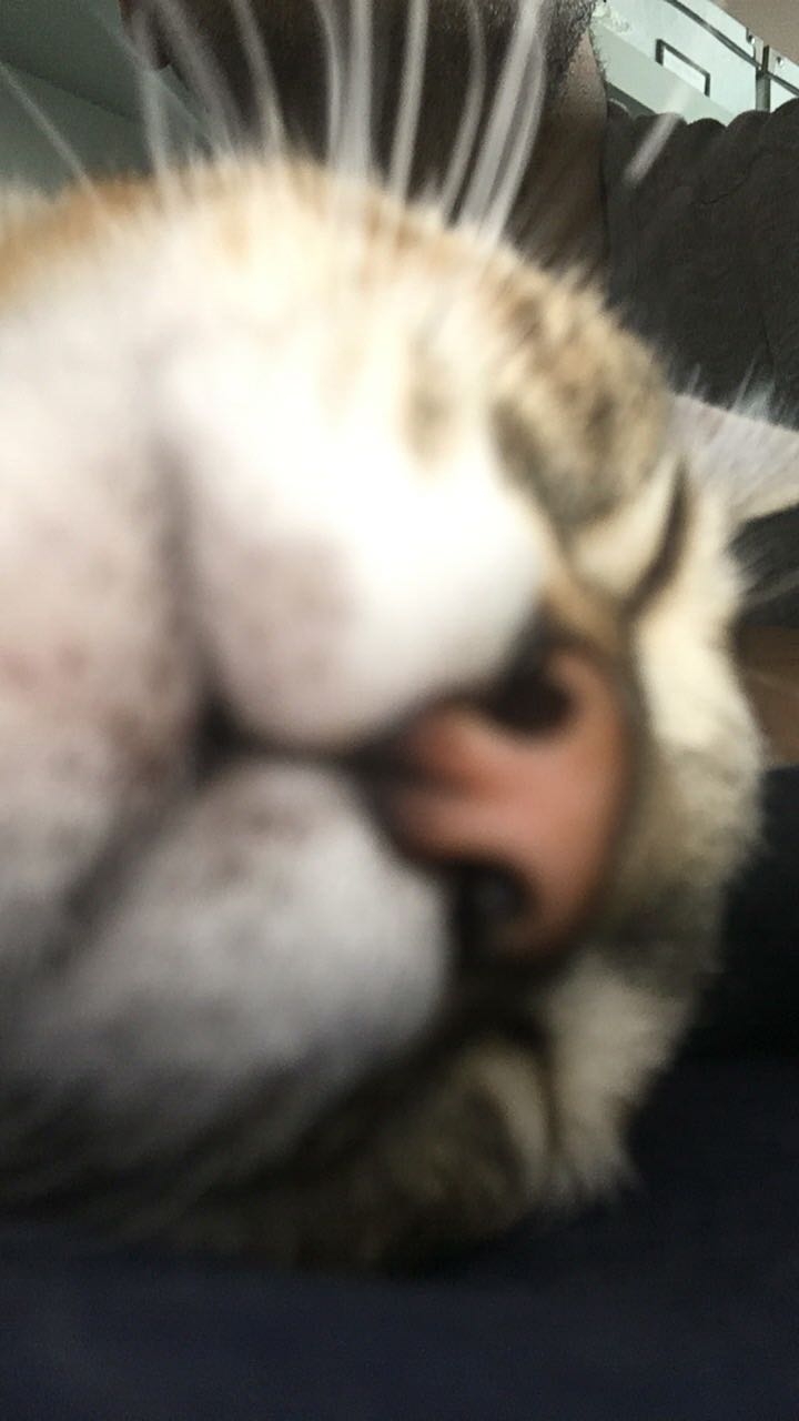 71