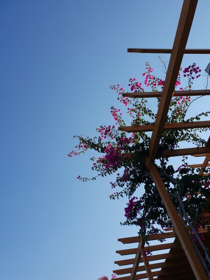 Summer sky