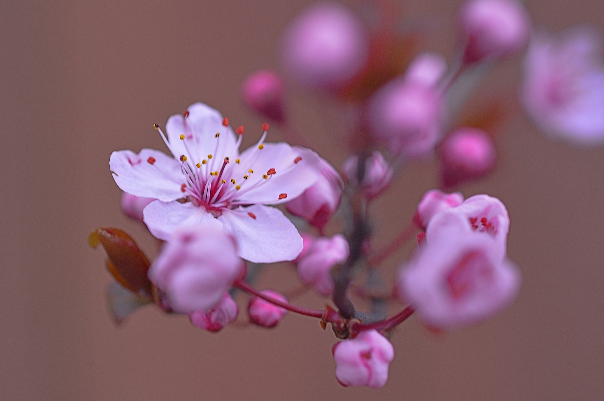 Spring Has Arrived