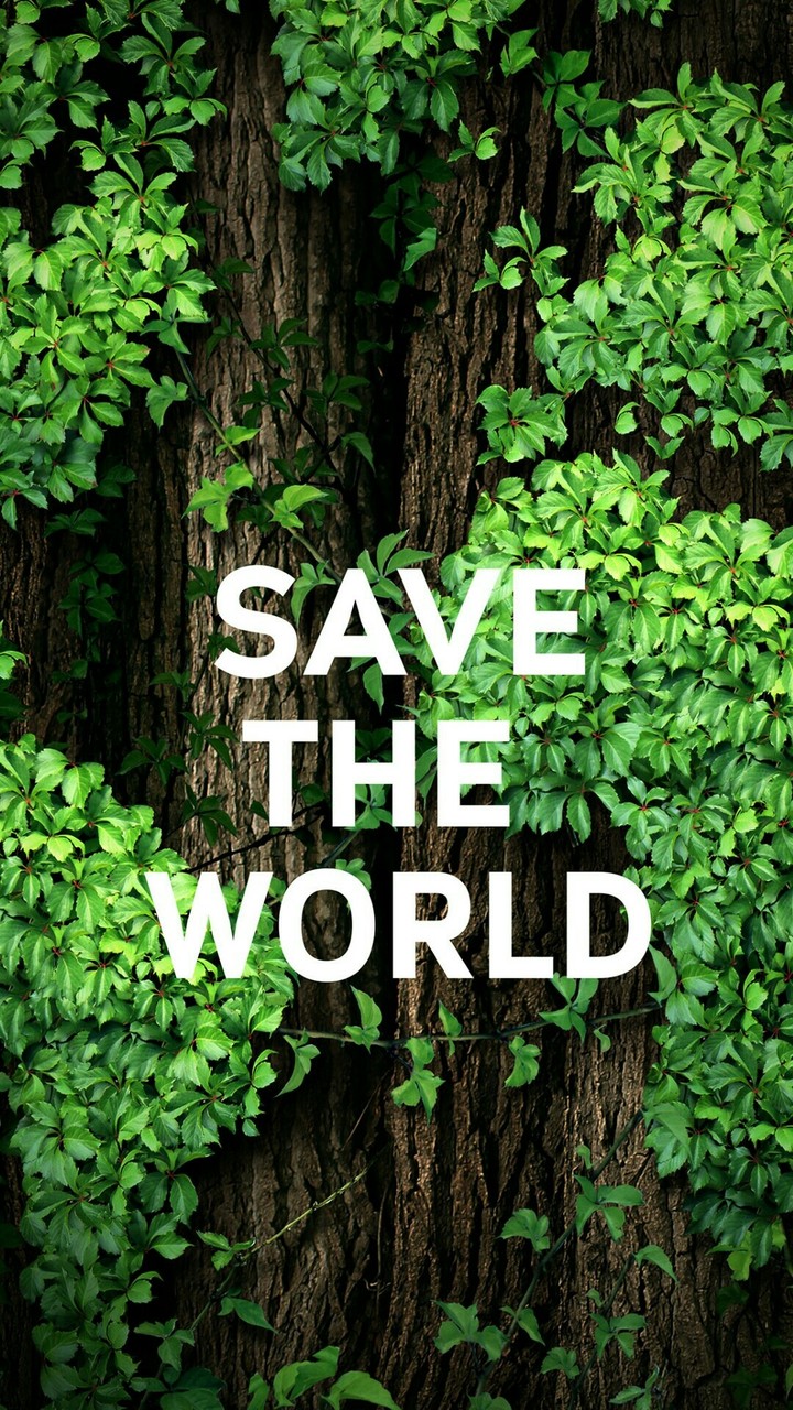 save